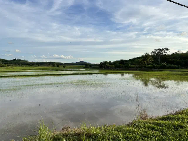 Photograph from fieldwork